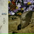 Fever & the Fret