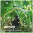 Archie B