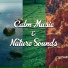 Ministry of Relaxation Music