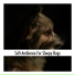 Doggy Calm
