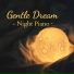 Relaxing BGM Project