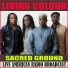 Living Colour
