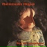 Multimedia Hippie