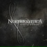 Northpolyptica