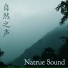 Nature Record