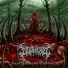 Disphexia