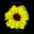 Shiloh Hill