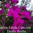 Dushi Aruba