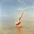 Stranded Horse
