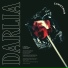 Darlia