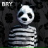 Bry