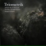 Triometrik