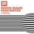 Raven Maize