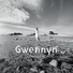 Gwennyn