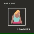 Big Levz