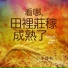 小羊詩歌 feat. 徐潮敏, 林婉容