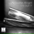 Airborne Angel