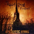 The Bald Dog Project