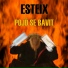 ESTEIX