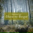 Meditação e Espiritualidade Musica Academia