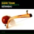 David Togni feat. Laura Gaeta