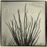 Floratone