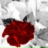 Max MYZ feat. Den Barinov