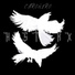 Histekx