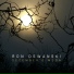 Ron Oswanski - (2013) December's Moon