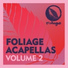 N'Dinga Gaba feat. Sahffi