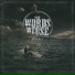 The Words We Use feat. Kellin Quinn