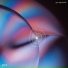 Guy Sigsworth, Imogen Heap