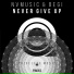 NVMUSIC & Begi
