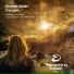 Tiesto cl 175