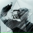 AMB