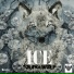 Young Wolf
