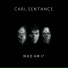 Carl Sentance Persian Risk