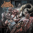 Guttural Corpora Cavernosa