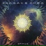 SHAGAN & OMRA