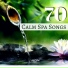 Calm Road & Calm Water Maestro