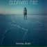 Elephant Fire