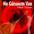 Nihat Arslan