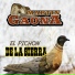 Martin Gaona