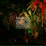 Jamrock