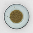 Cromosauri