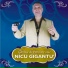 Nicu Gigantu'