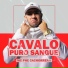 Mc Phe Cachorrera