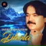 Shafaullah Khan Rokhri