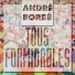 André Borbé