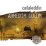 Celaleddin
